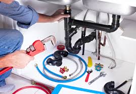 Best Garbage Disposal Repair and Installation  in Shawneeland, VA